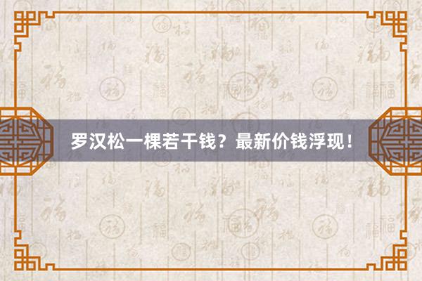 罗汉松一棵若干钱？最新价钱浮现！