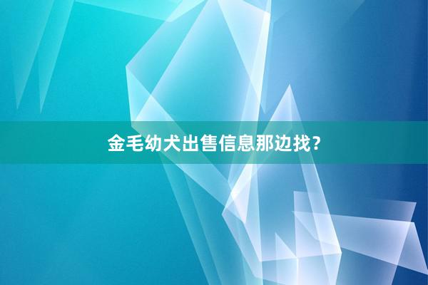 金毛幼犬出售信息那边找?