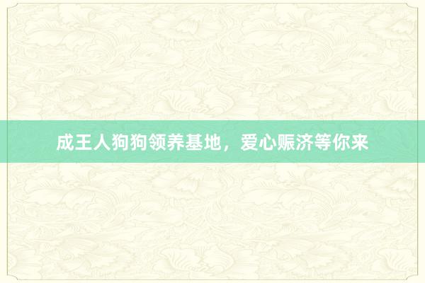 成王人狗狗领养基地,爱心赈济等你来